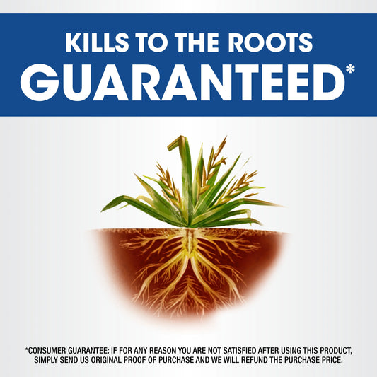 Roundup Weed & Grass Killer Concentrate, Use In Flower Beds and other areas of your yard, 1 gal.