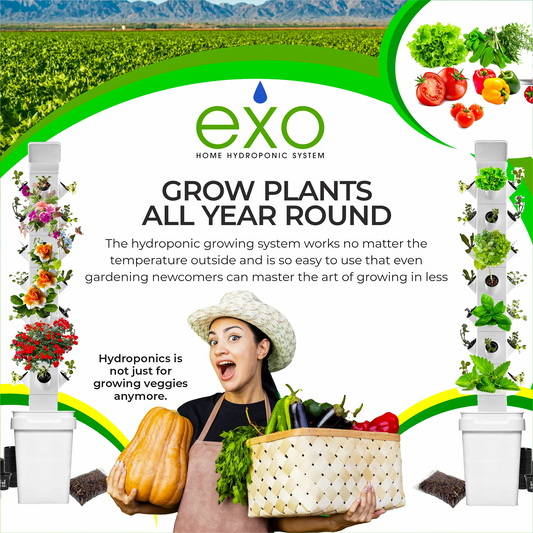 EXO Hydroponics Growing System Tier 1 Mini Tower - Advanced Indoor Gardening Kit for Healthy Plants - Automate Aeroponics Mini Indoor Outdoor Home Grow Herb