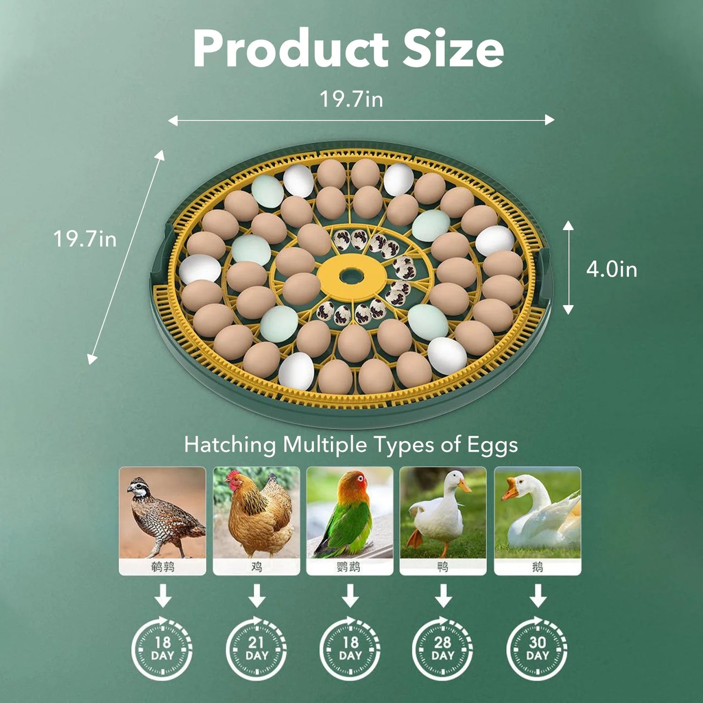 BN-LINK 52 Egg Incubator with Automatic Egg Turning and Temperature Control, Smart Egg Incubator with Humidity Display, LED Candler & Sink, Hatching Chicken Duck Quail Bird