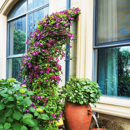 Topbuy Garden Arch Arbor Trellis, 2 Half Arches 99° Tall Metal Arbour Archway for Climbing Plants Roses Vines