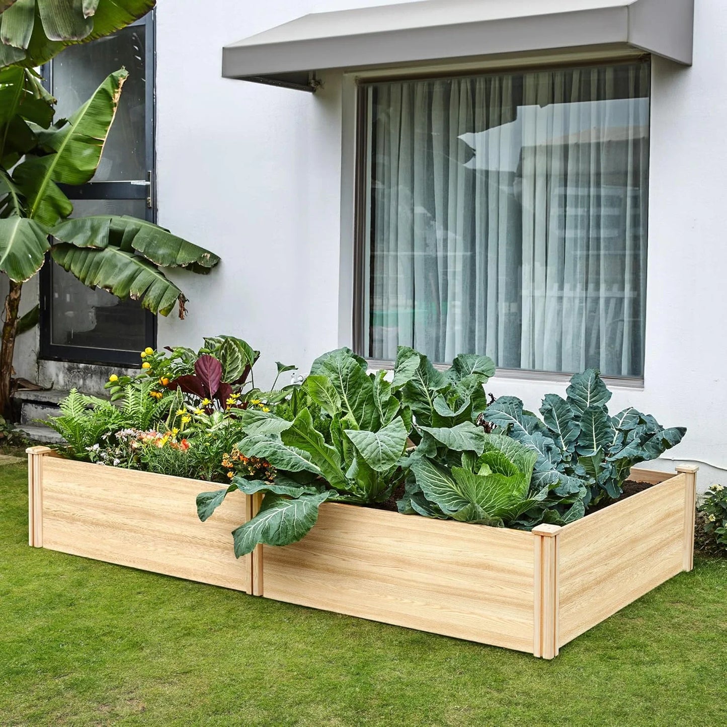 SPECRAFT 8x4 Ft Wood Raised Garden Bed, Durable 15 Inch Depth Planter Box for Vegetables, Herbs, and Flowers, Ideal for Outdoor Gardening with Open Base