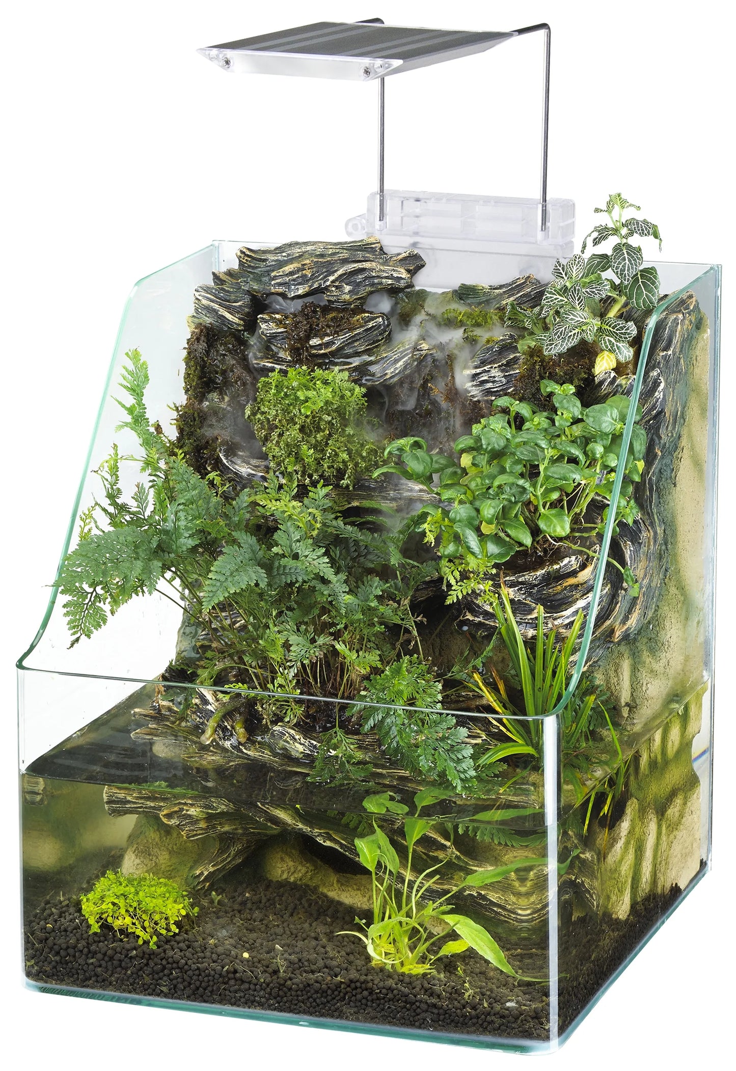 Penn-Plax Aquaterrium Tank - Hydroponic Glass Aquarium for Live Plants and Fish - 1.85 Gallons
