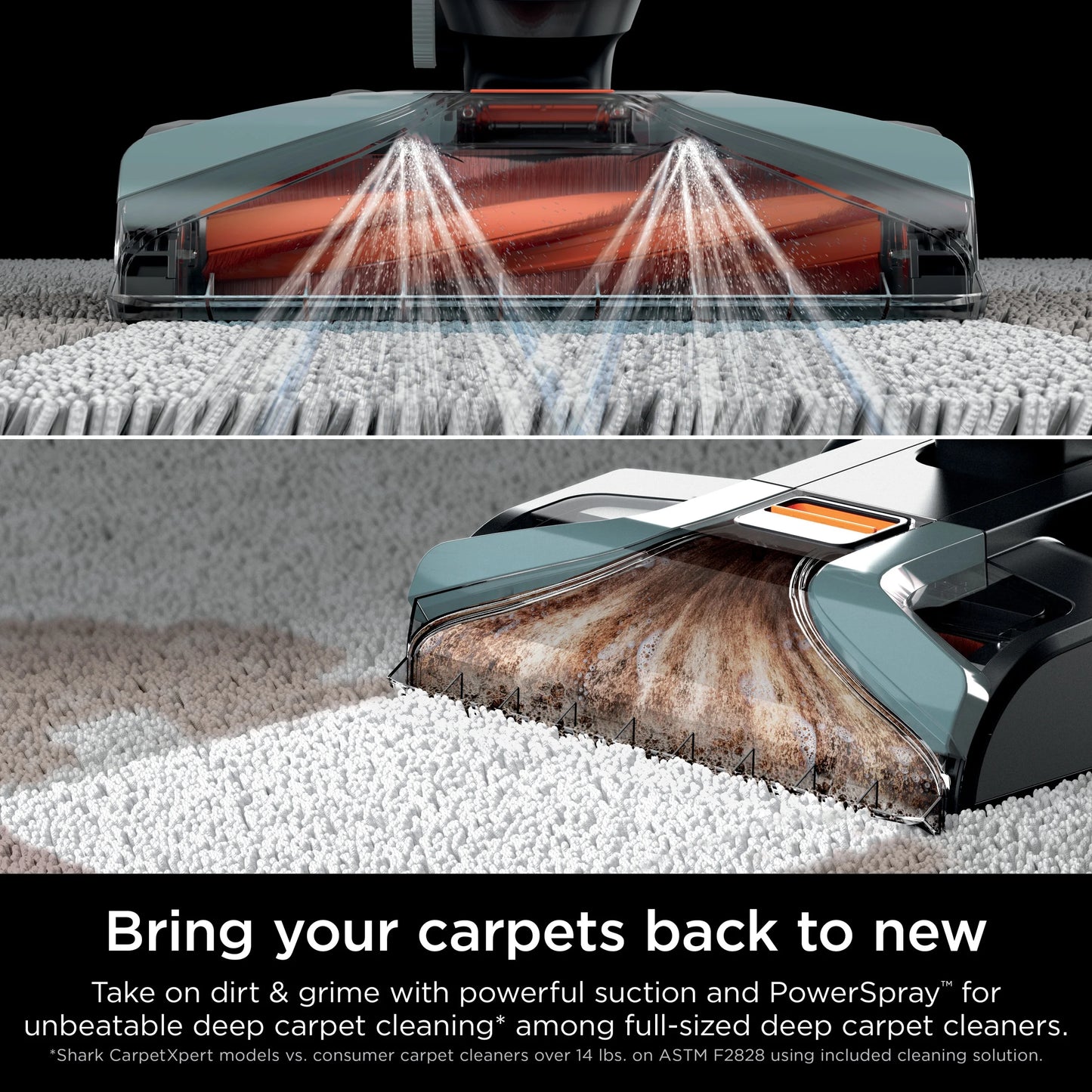 Shark CarpetXpert Upright Deep Carpet, Area Rug & Upholstery Cleaner with Built-in Spot & Stain Eliminator and 12 oz Deep Clean Pro Cleanser, EX150