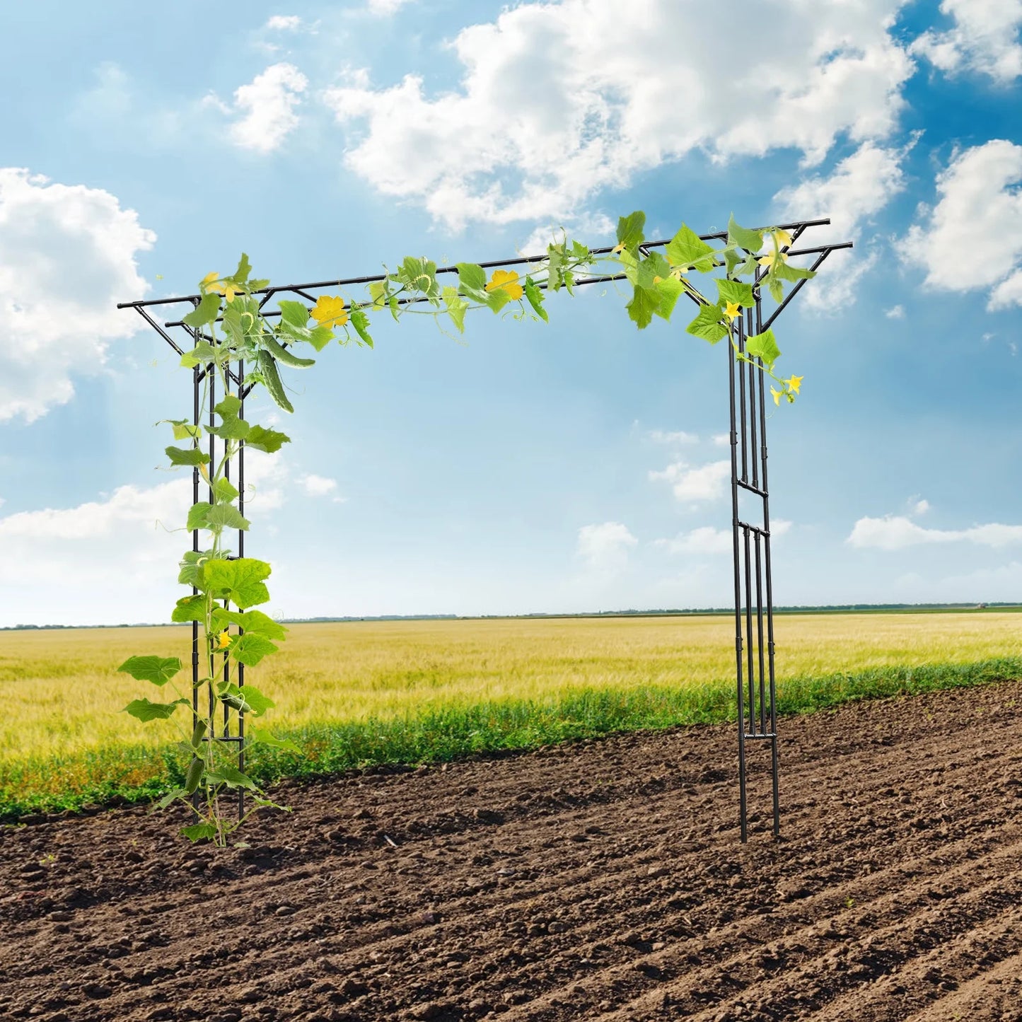 Black Garden Trellis Supersize Flattop Garden Arch for Wedding,141.7" L x 106" H Garden Arch Arbor Trellis for Climbing Plants Outdoor,Galvanized Steel Pipe Coated with Plastic