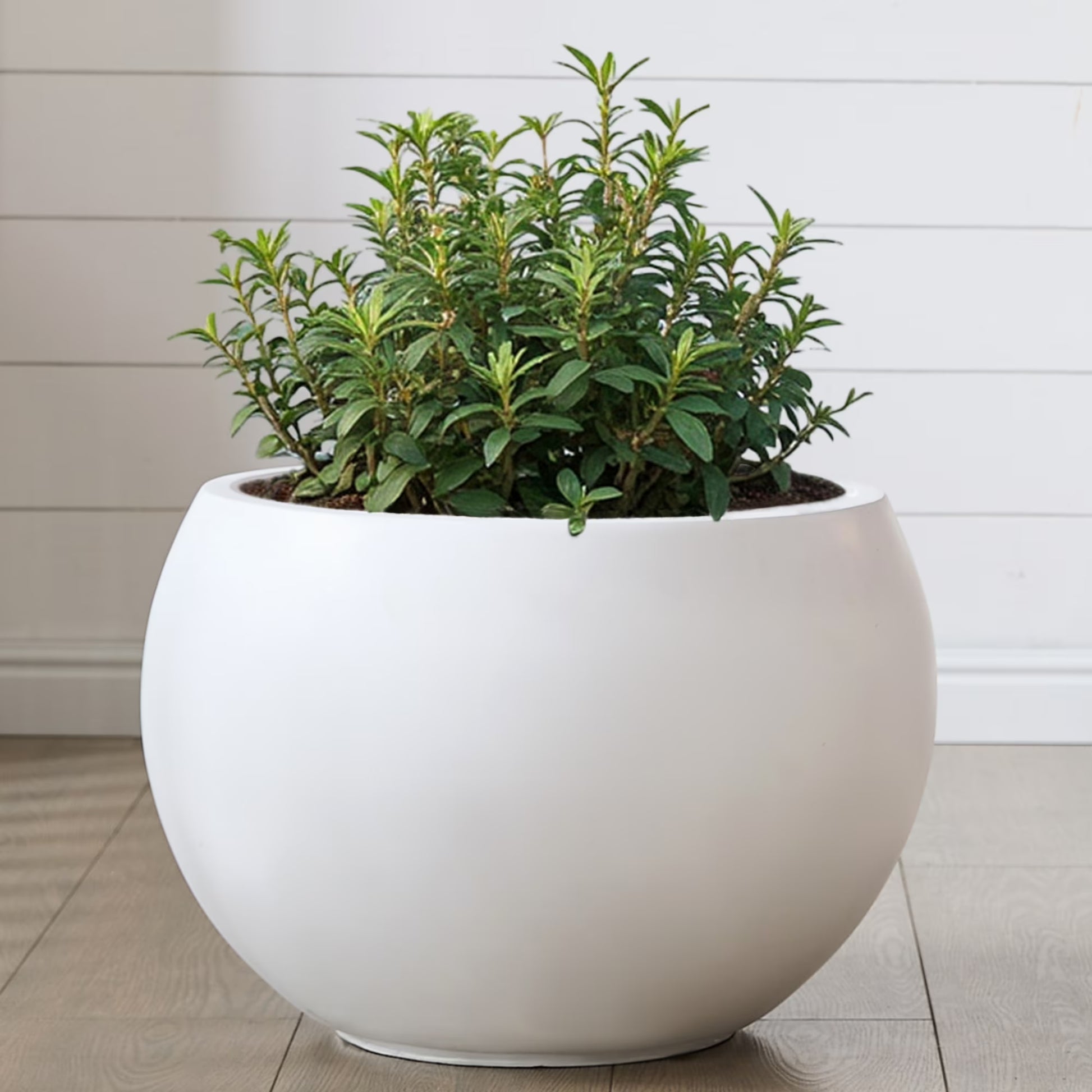 19.3" D x 13" H Fiberstone Large Size Planter, Black, 15" Pot Opening, Sphere Flower Pots with Drainage Hole, Weather Resistance Indoor/Outdoor Round Planters for Tree or Plants