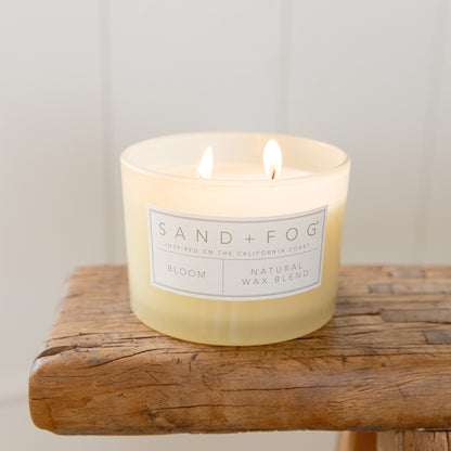 Sand + Fog 12 oz. Candles with Carved Wood Lids, Set of 3