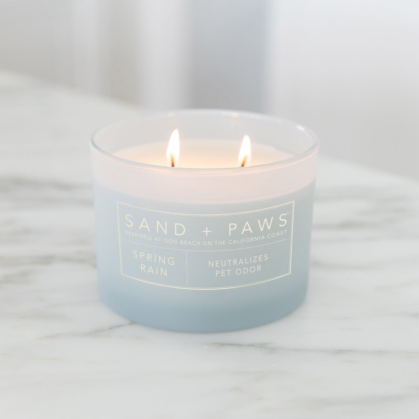 Sand + Paws 12 oz. Candles with Carved Wood Lids, Set of 3