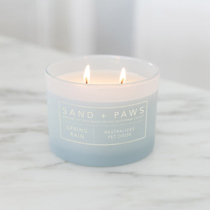 Sand + Paws 12 oz. Candles with Carved Wood Lids, Set of 3
