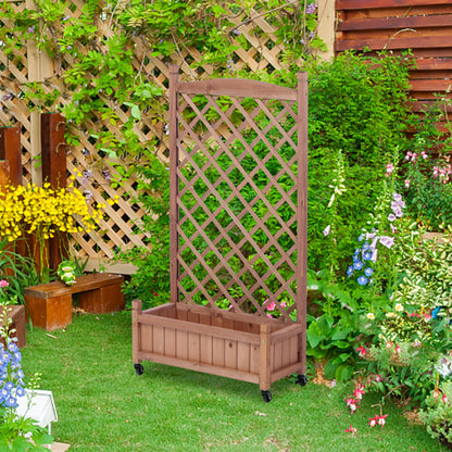 Metal Garden Arch with Doors Garden Arbor Trellis Climbing Plants Support Arch Outdoor Arch Wedding Arch Party Events Archway Black,Black Iron Garden Outdoor Garden Supplies Garden Arch Trellis