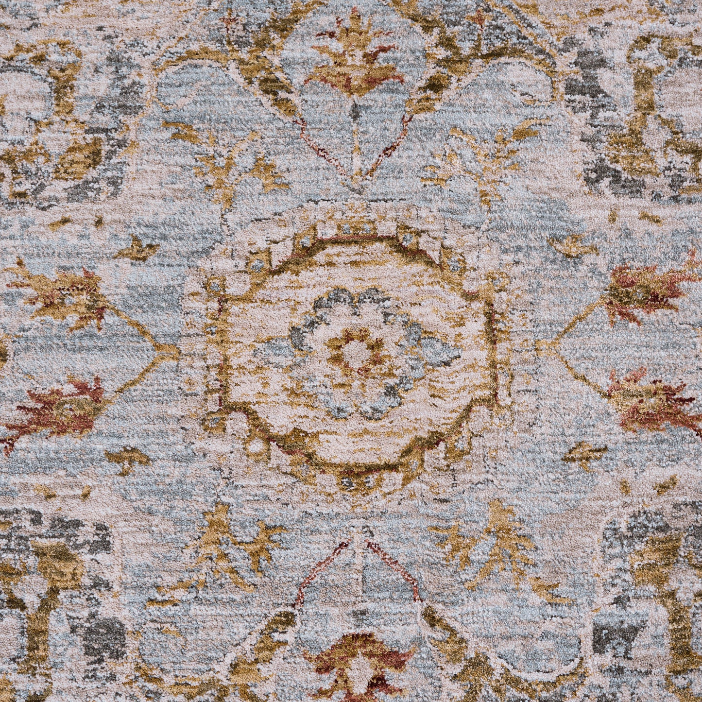 Safavieh Hamilton Area Rug, Ivory Blue, 6’ x 9’