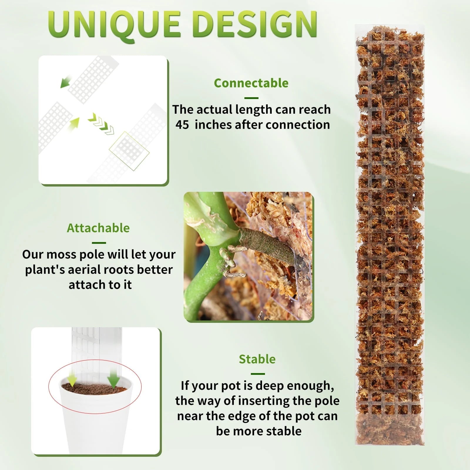 24 Inch Plastic Moss Pole for Plants Monstera, 2 Pcs Plant Poles for Climbing Plants, Plant Support for Indoor Plants Work with Sphagnum Moss