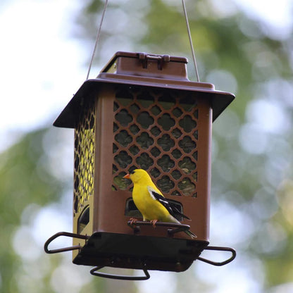 More Birds Bronze Metal Hopper Sunflower Bird Feeder, 3.6 lb Capacity