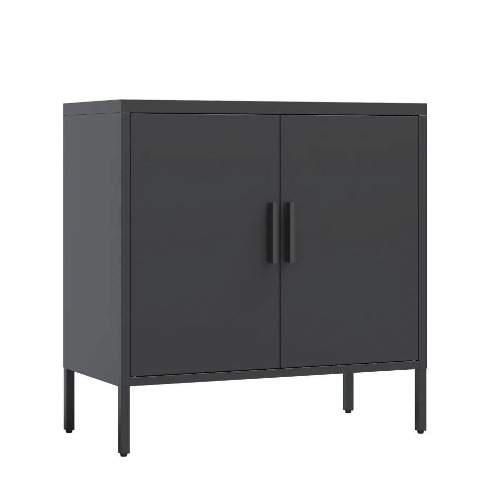 31.5" Metal Storage Cabinet with 2 Doors and 2 Adjustable Shelves, Garage Storage Cabinet with Metal Handles, Metal File Cabinet for Home Office School Gym, Black