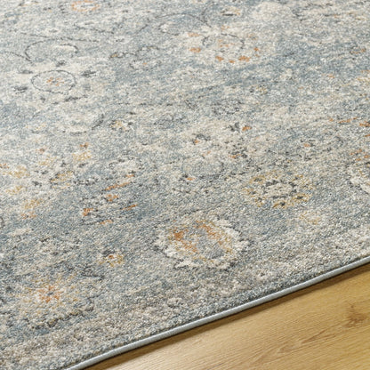 Livabliss Alpharetta Vintage Floral Area Rug,5'3" x 7',Cream/Gray