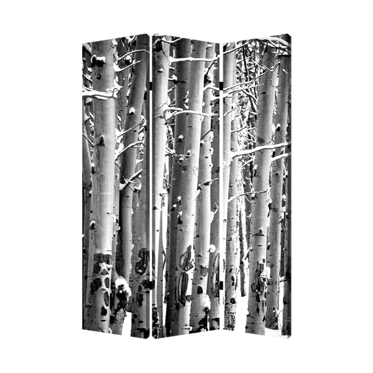 Home Decorative Birch Screen Room Divider - 3 Panel