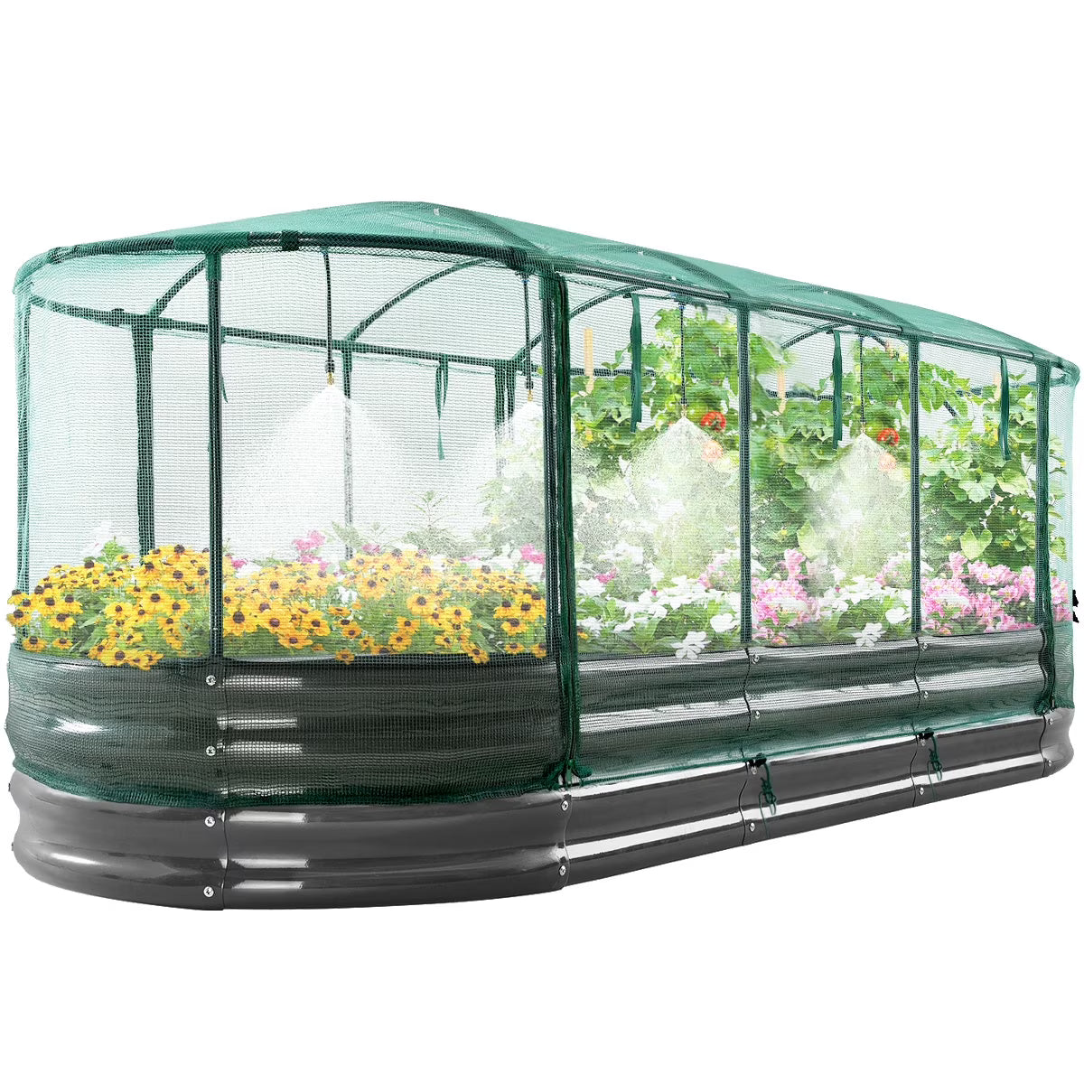 Quictent 6x3x1 ft Galvanized Raised Garden Bed Kit with Self Watering System and Mesh Cover, Large Oval Metal Outdoor Planter Garden Boxes for Vegetables Herbs Flowers