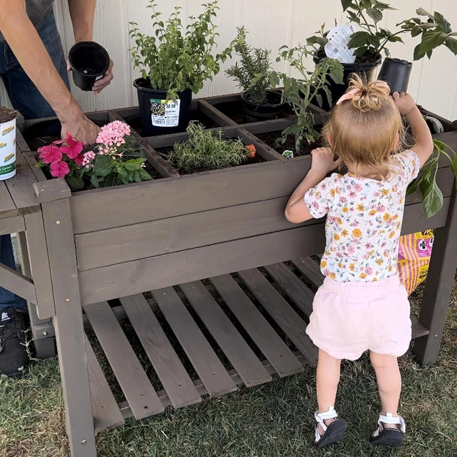 MEDEHOO Elevated Wooden Planter Box with Locking Casters - 52.7" L x 22" W x 30" H Raised Garden Bed, Removable Liner & 230lb Weight Capacity for Outdoor Plants