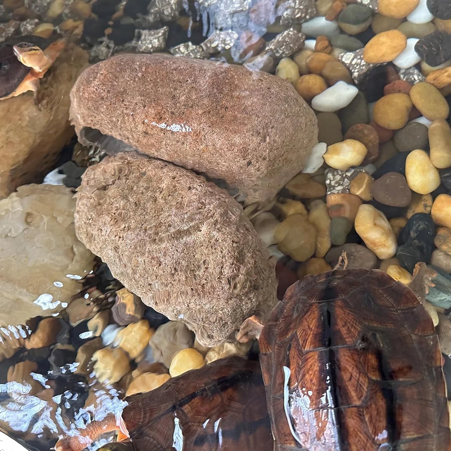 Black River Rocks for Landscaping, 2-3 Inch Natural River Rocks for Garden Beds, Potted Plants, Fish Tanks, DIY Pathway and Backyard Accent, Stones for Crafts, Walkways(40lbs Bulk)