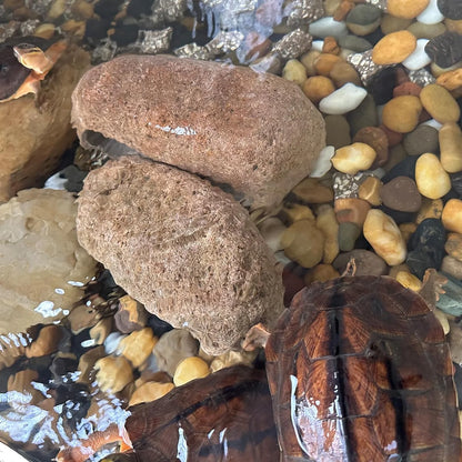 Black River Rocks for Landscaping, 2-3 Inch Natural River Rocks for Garden Beds, Potted Plants, Fish Tanks, DIY Pathway and Backyard Accent, Stones for Crafts, Walkways(40lbs Bulk)