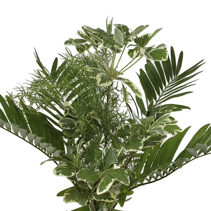 Alluring Mixed Greens Bouquet 5 Pack of Farm Direct Fresh Cut Flowers Bouquets of Mixed Greenery by Bloomingmore