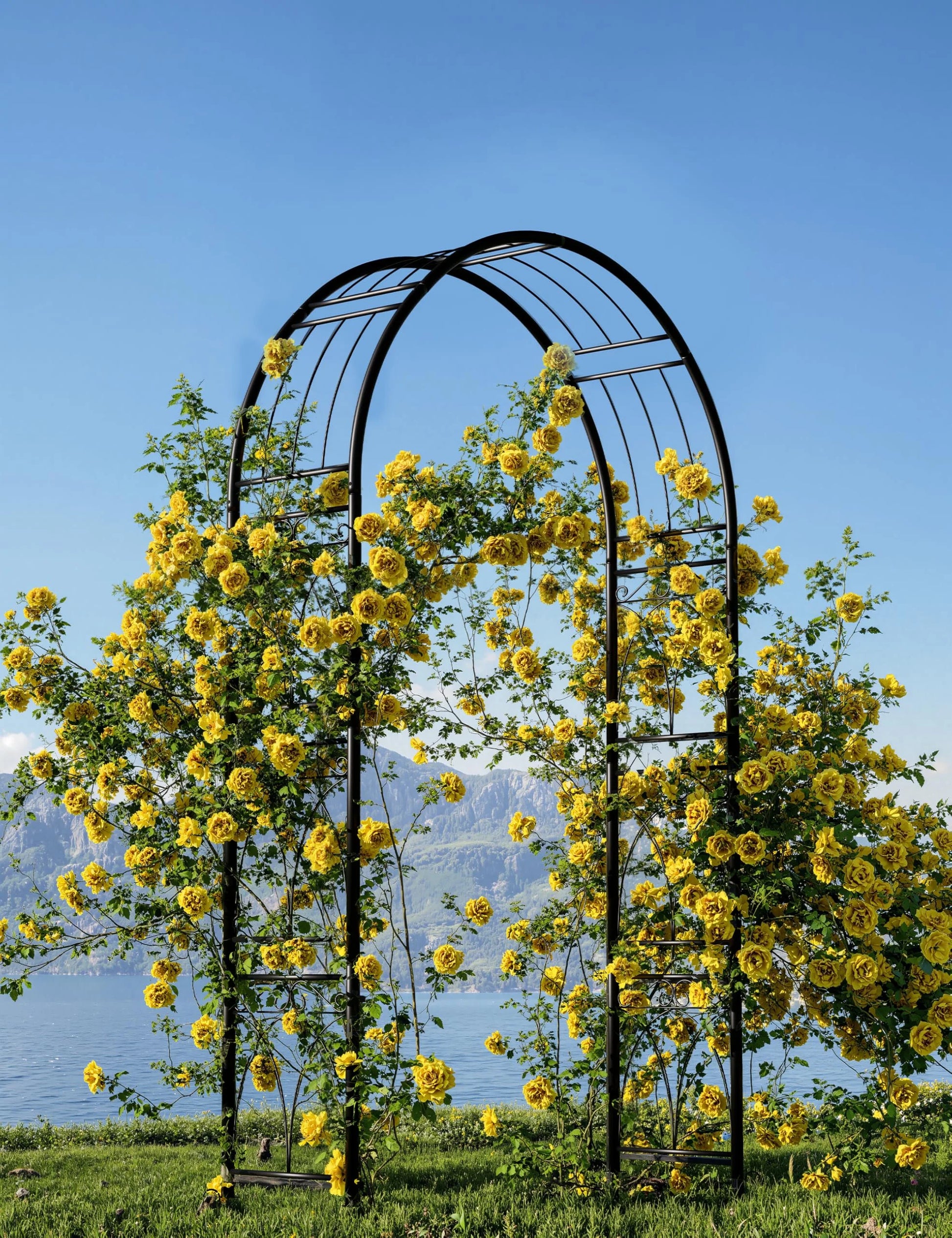 Luku 8FT Black Garden Arch, Heavy Duty Metal Garden Arbors with Trellis for Climbing Plants, Flowers & Vines, Rustproof Outdoor Arbor for Weddings, Parties,Decor, Easy to Assemble