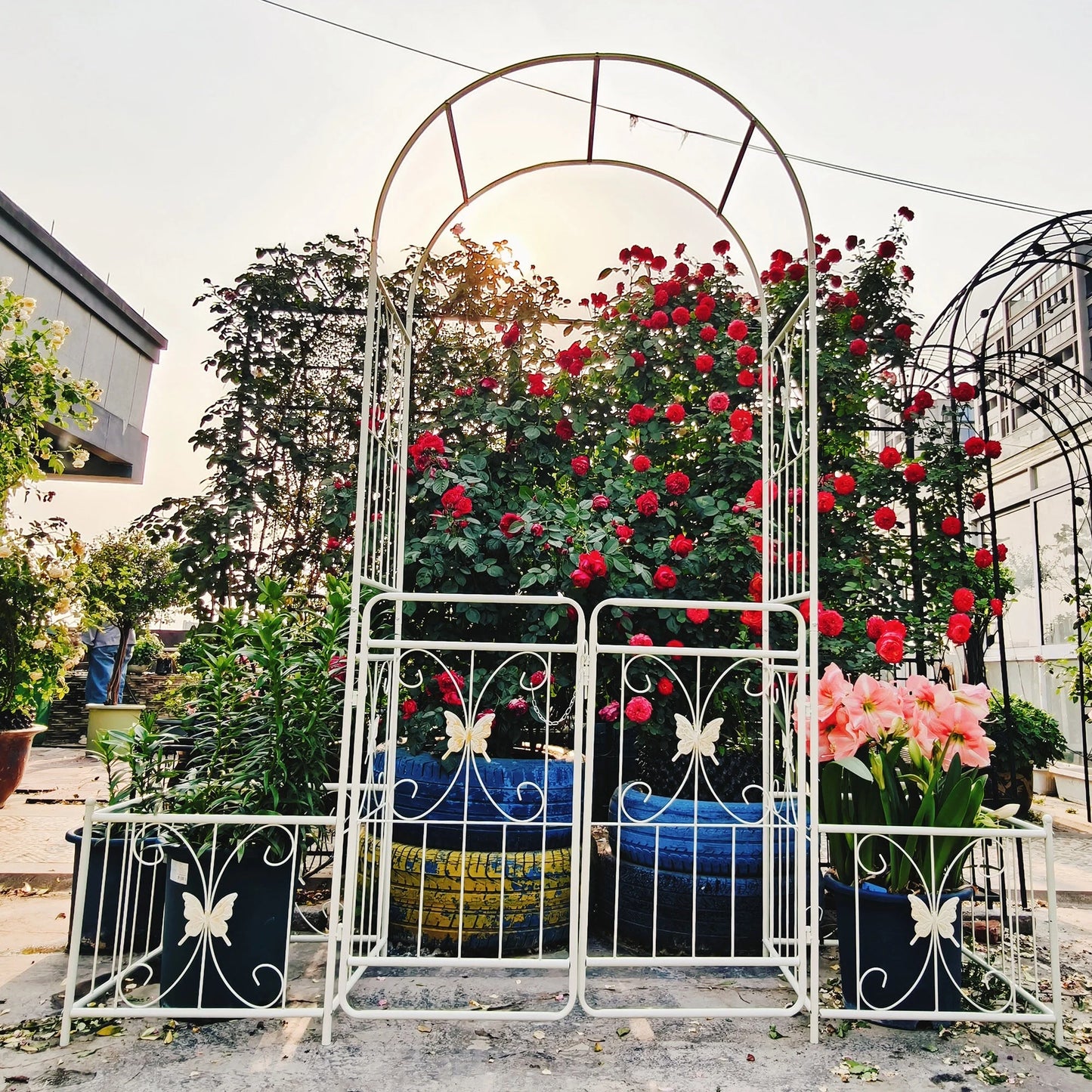 Garden Arch Metal Garden Arch with Gate 79.5'' Wide x 86.6'' High Climbing Plants Support Rose Arch Outdoor Cream White,Garden Trellis