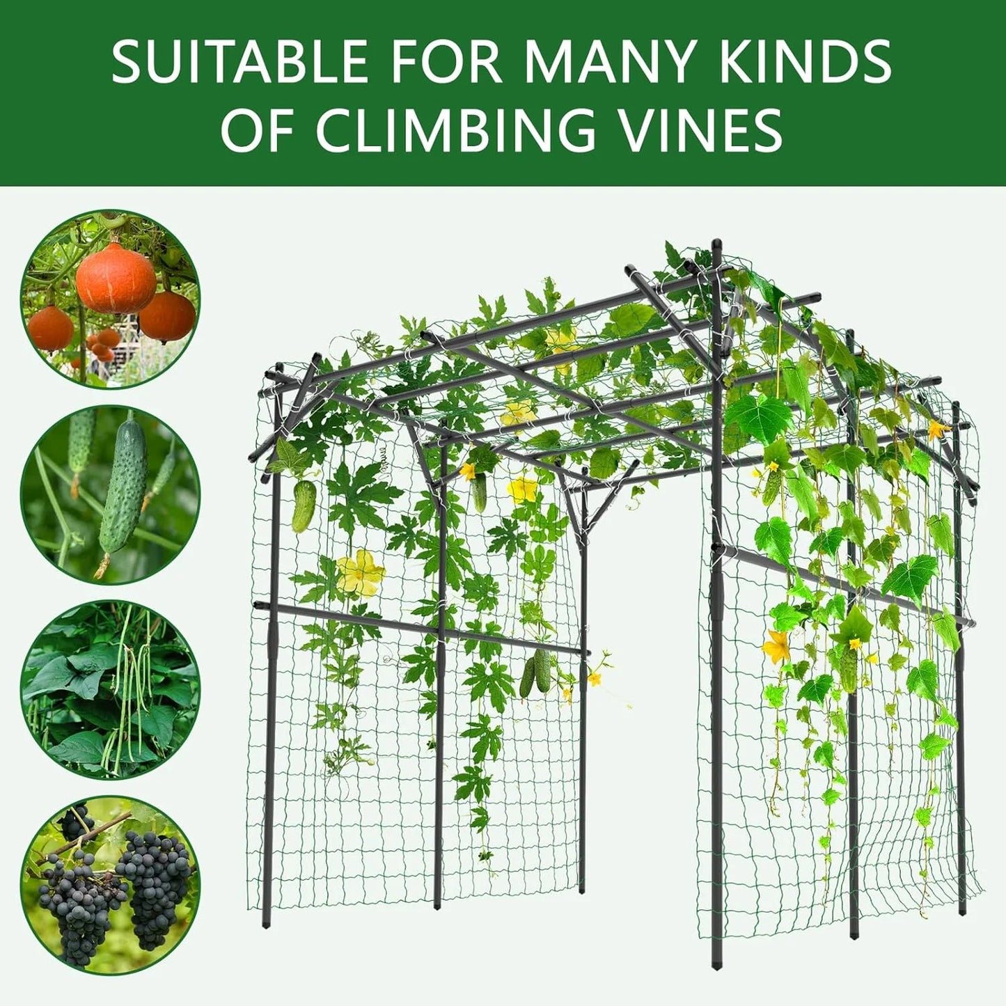 Slsy Tall Garden Arch Trellis for Climbing Plants, 79'' L x 79'' W x 79'' H Large Grape Vine Support Arch Arbor Trellis Plastic-Coated Metal Garden Arch Trellis for Climbing Plants