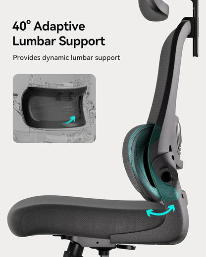Hbada P1 Ergonomic Office Chair, Desk Chair with Adjustable Lumbar Support, Home Office Desk Chair with 2D Headrest, Flip-up Armrest, Swivel Computer Chair, Black