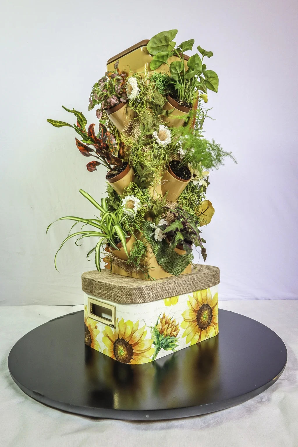 EXO Hydroponics Growing System Tier 1 Mini Tower - Advanced Indoor Gardening Kit for Healthy Plants - Automate Aeroponics Mini Indoor Outdoor Home Grow Herb