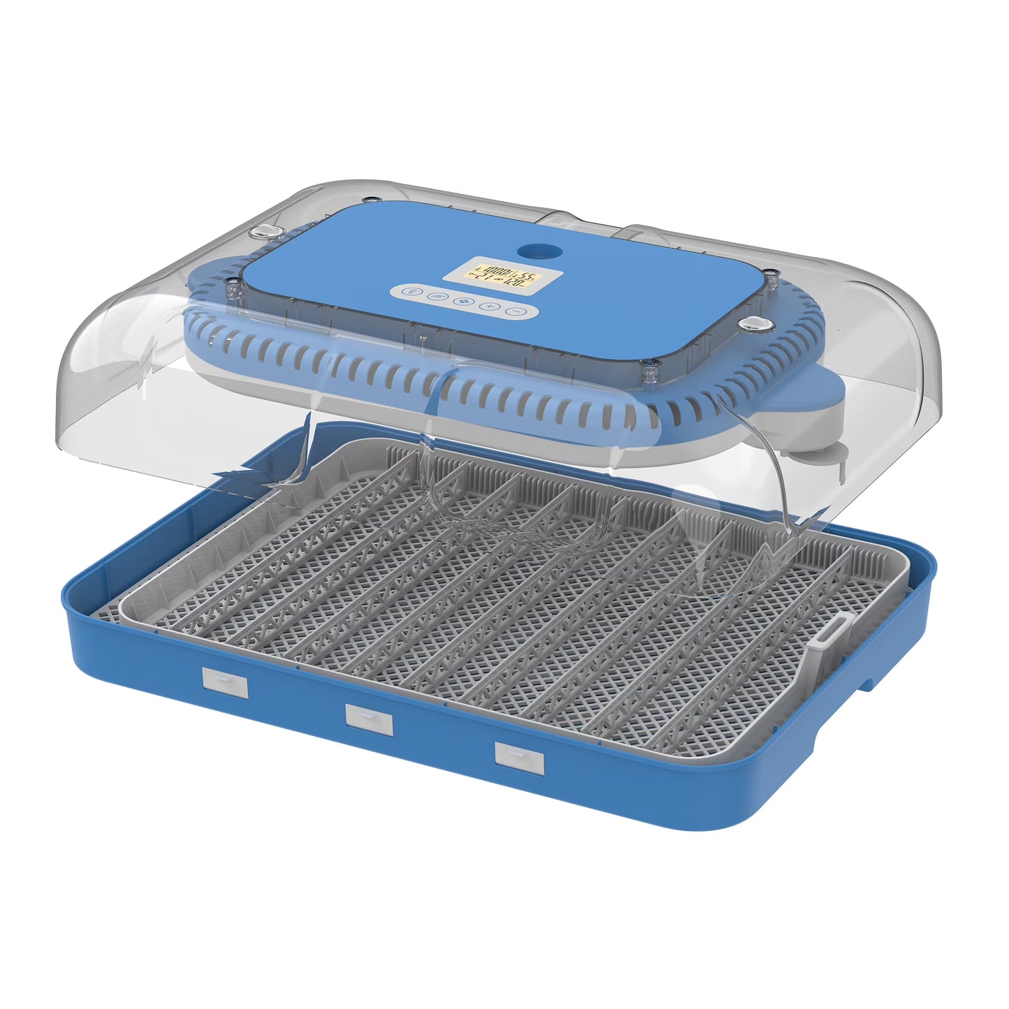 Montary 56 Egg Incubator: Auto Turning, Humidity Control & Water Refill for Chicken/Duck/Goose Eggs w/Candler