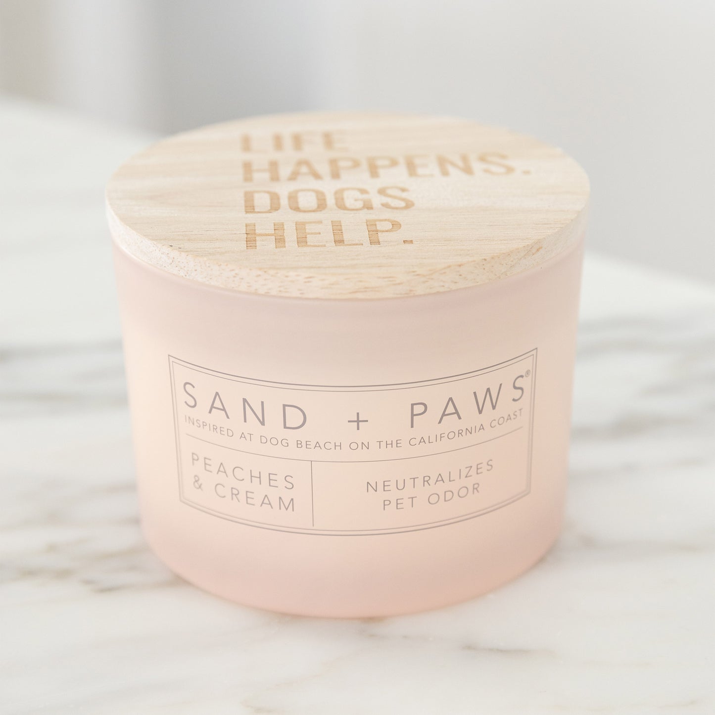 Sand + Paws 12 oz. Candles with Carved Wood Lids, Set of 3