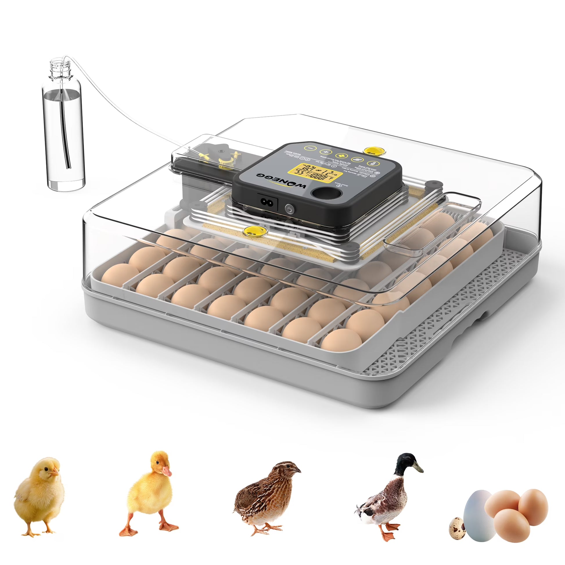 Montary 56 Egg Incubator: Auto Turning, Humidity Control & Water Refill for Chicken/Duck/Goose Eggs w/Candler