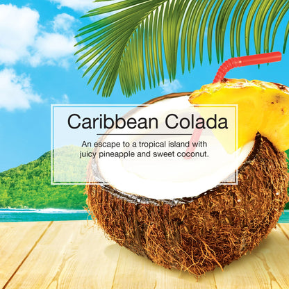 Little Trees Air Freshener Caribbean Colada Fragrance 3-Pack
