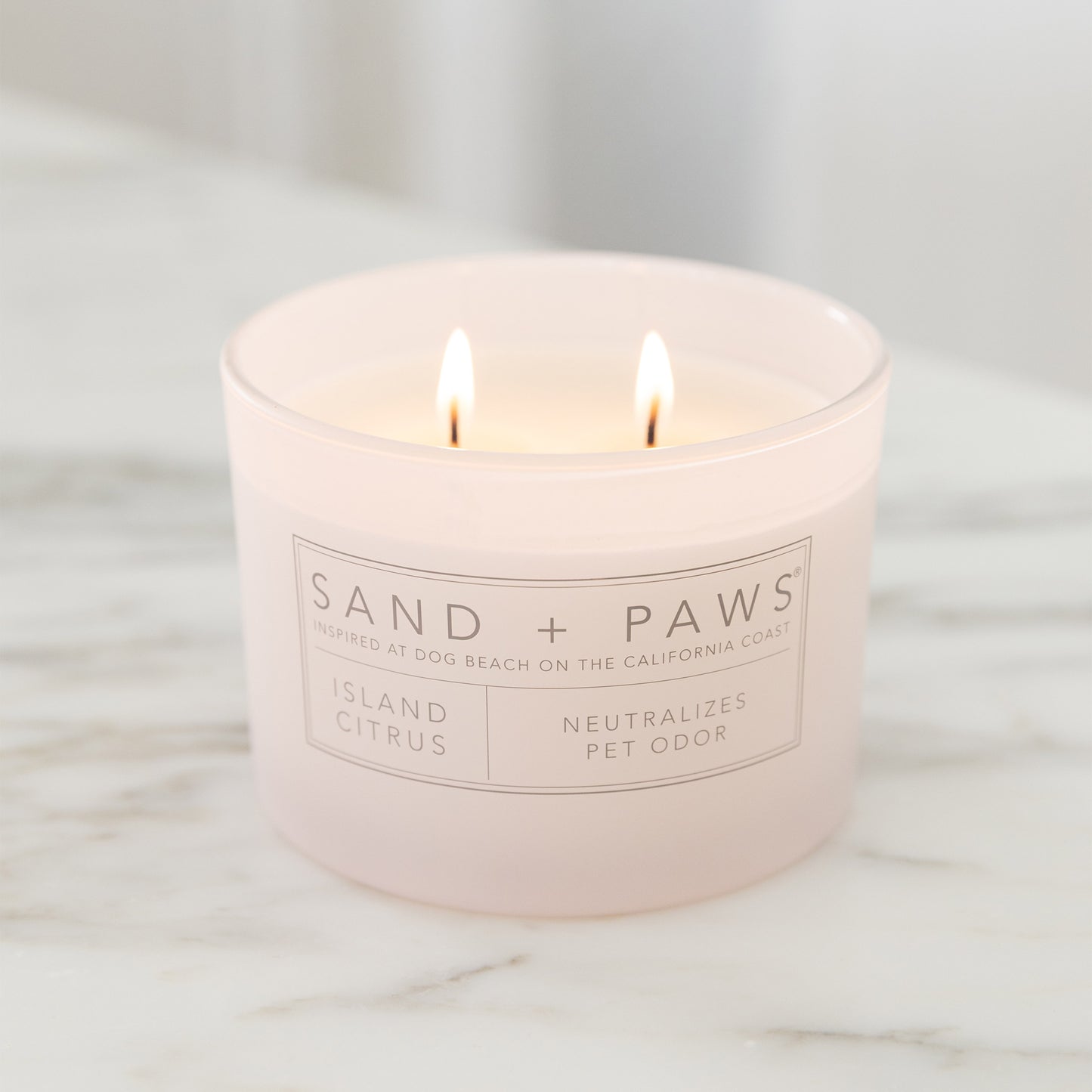 Sand + Paws 12 oz. Candles with Carved Wood Lids, Set of 3