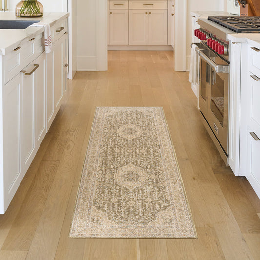 Nourison Florentine Area Rug Collection, Pazzi