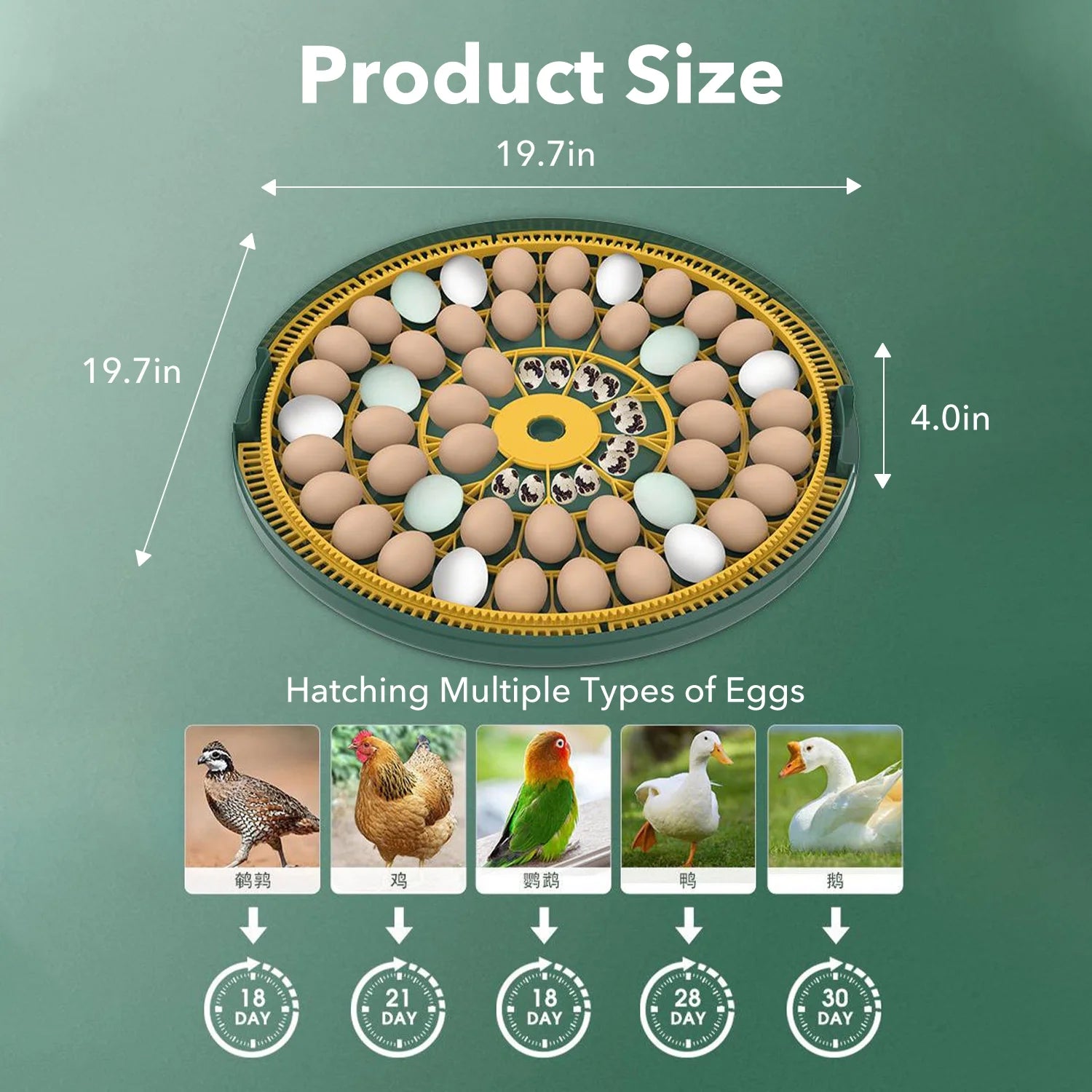 BN-LINK 52 Egg Incubator with Automatic Egg Turning and Temperature Control, Smart Egg Incubator with Humidity Display, LED Candler & Sink, Hatching Chicken Duck Quail Bird