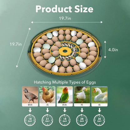 BN-LINK 52 Egg Incubator with Automatic Egg Turning and Temperature Control, Smart Egg Incubator with Humidity Display, LED Candler & Sink, Hatching Chicken Duck Quail Bird