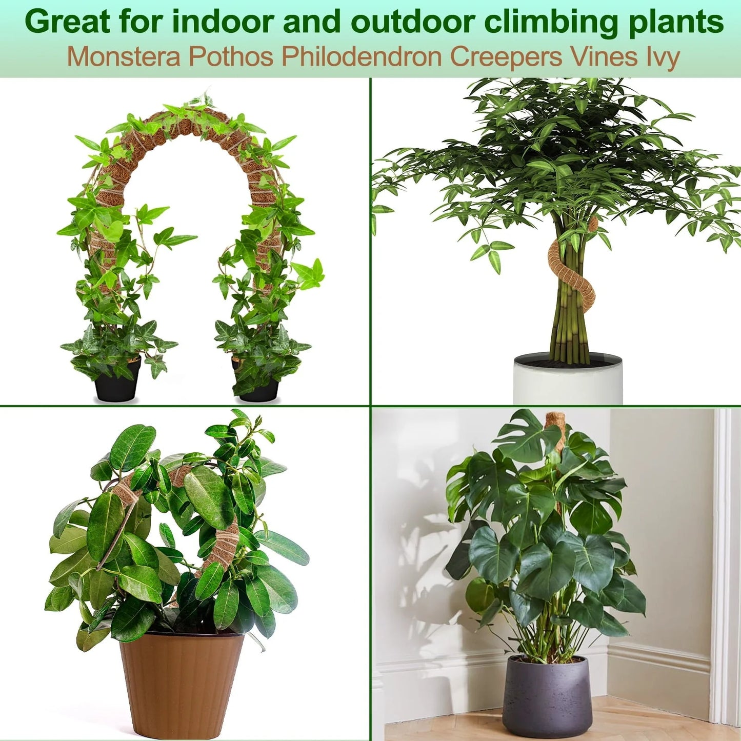 Moss Pole for Plants Monstera, 50 Inch Bendable Moss Pole for Climbing Plants, 2 Pack 25 Inch Coir Totem Pole for Monstera Plant Support Indoor