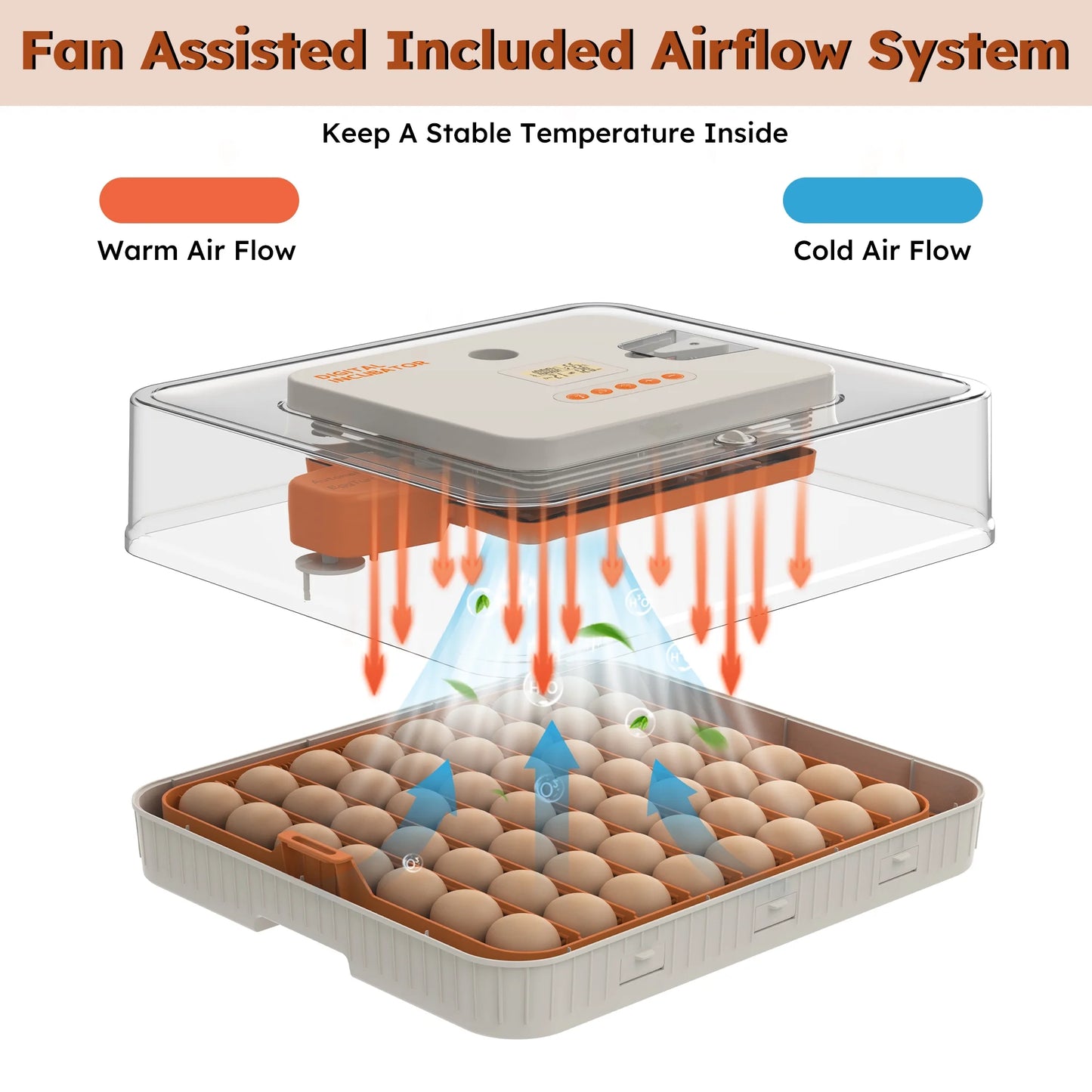 Montary 56 Egg Incubator: Auto Turning, Humidity Control & Water Refill for Chicken/Duck/Goose Eggs w/Candler