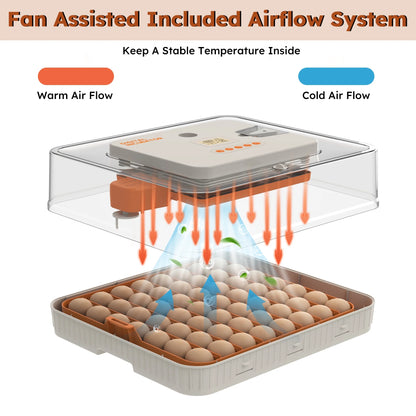 Montary 56 Egg Incubator: Auto Turning, Humidity Control & Water Refill for Chicken/Duck/Goose Eggs w/Candler