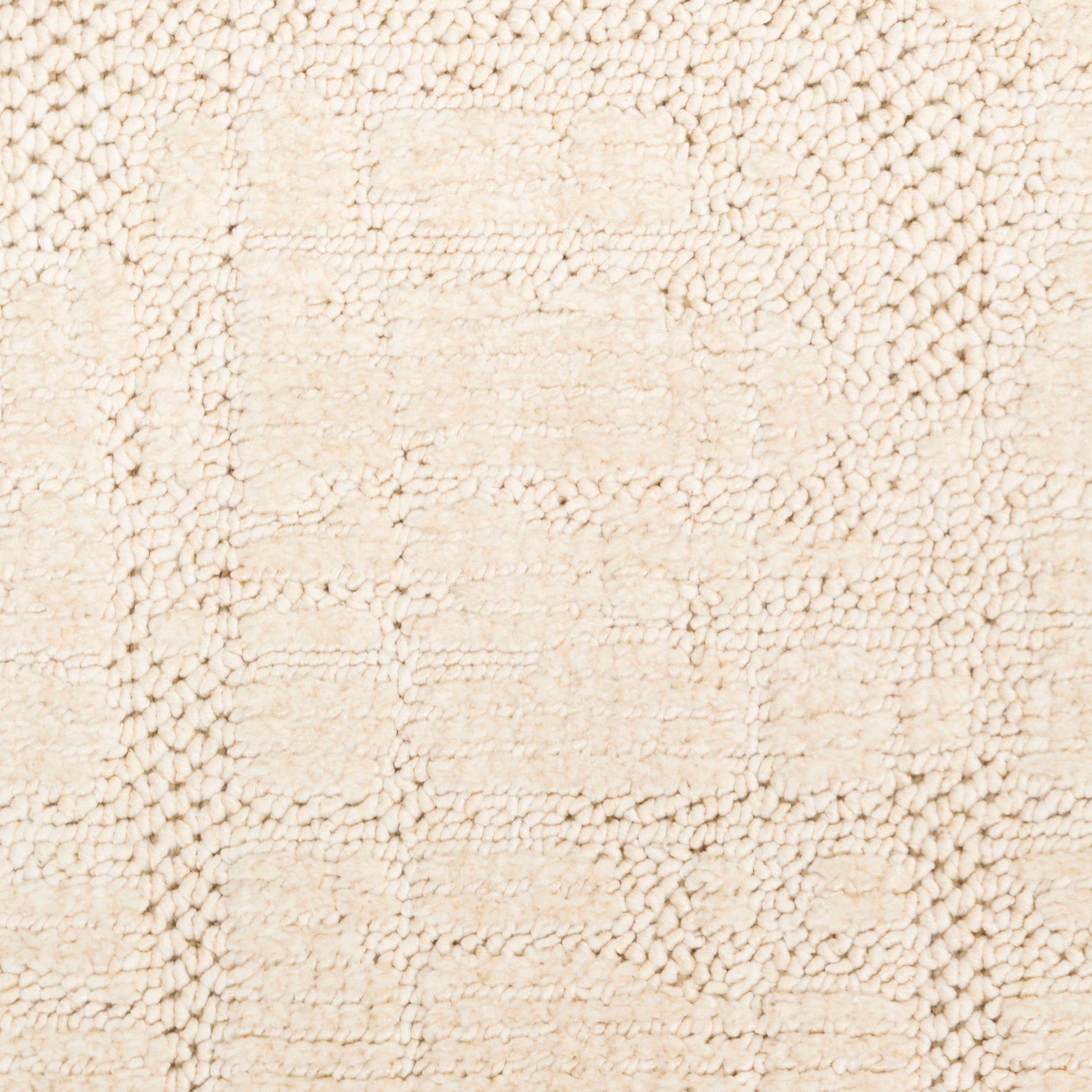 Nourison Indiana Area Rug Collection, Hammond, 7'10' x 9'10'