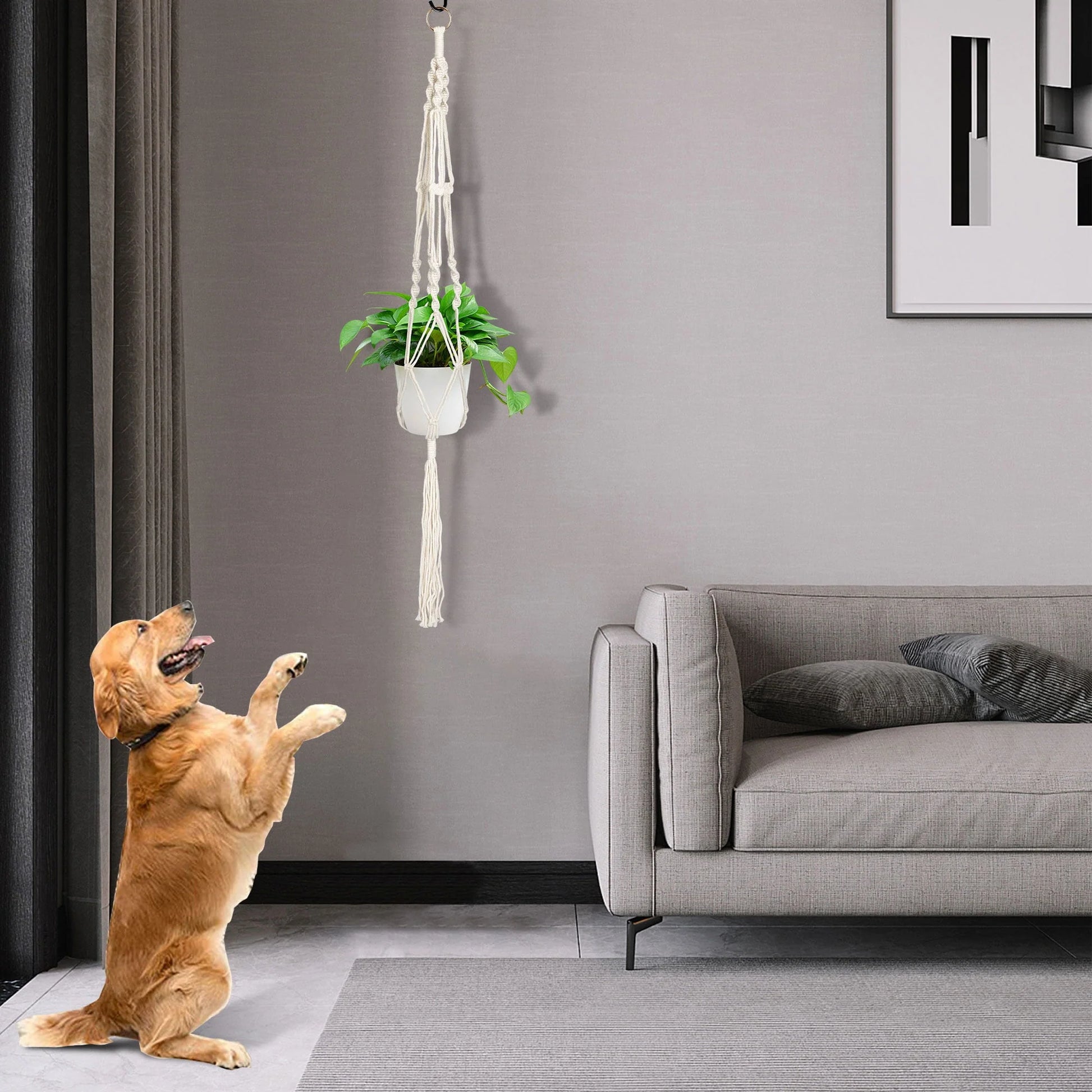 EEEkit 2pcs Macrame Plant Hangers, Indoor Outdoor Hanging Planter Baskets, Decorative Flower Pot Holders for Succulents Cacti Herbs, Boho Home Decor