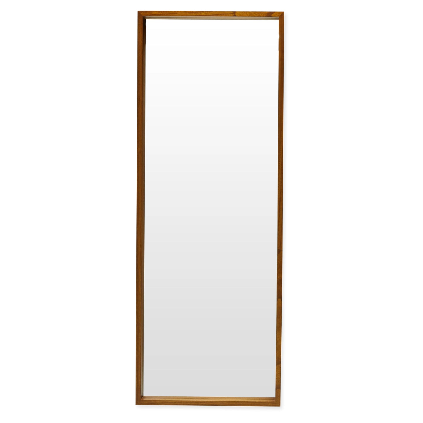 24" x 65" Brown Rectangle Wood Leaner Mirror by Drew Barrymore Flower Home