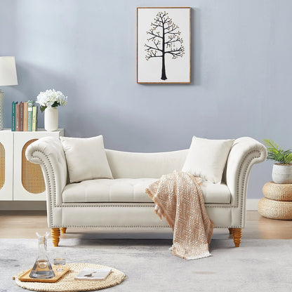 Lemacte Beige Modern Velvet Loveseat Sofa 2 Seater Sofa Upholstered Sofa Couch for Living Room, Bedroom, Studio,Home Office, Hotel