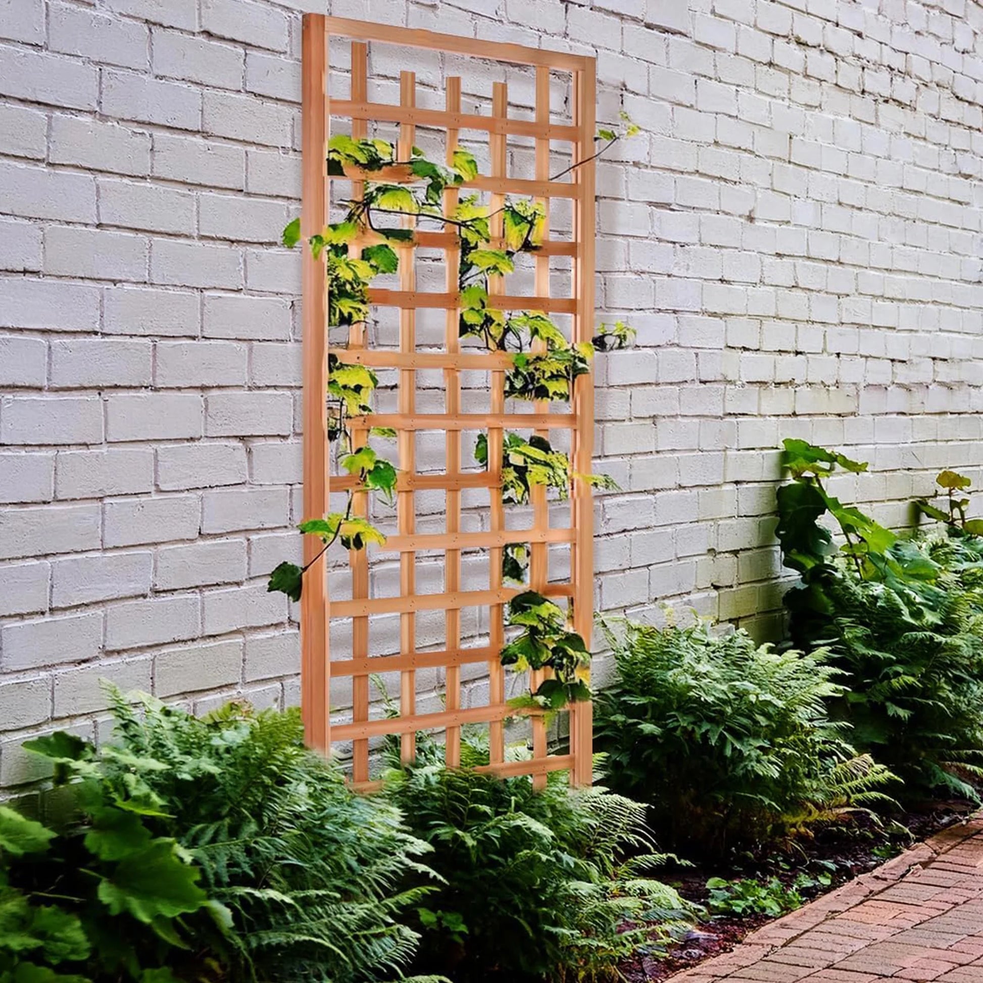 All Things Cedar TS33 Trellis Panel - Cedar Garden Trellis for Climbing Plants