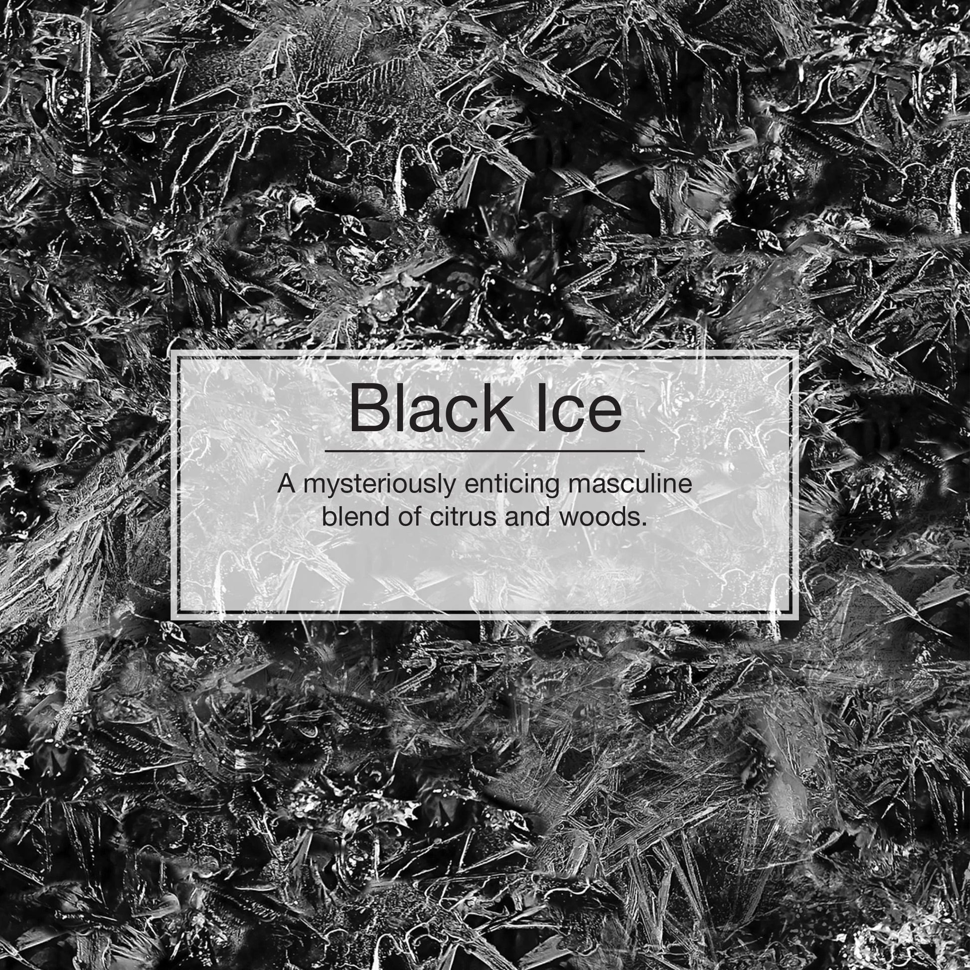 Little Trees Air Freshener Black Ice Fragrance 6-Pack