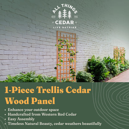 All Things Cedar TS33 Trellis Panel - Cedar Garden Trellis for Climbing Plants