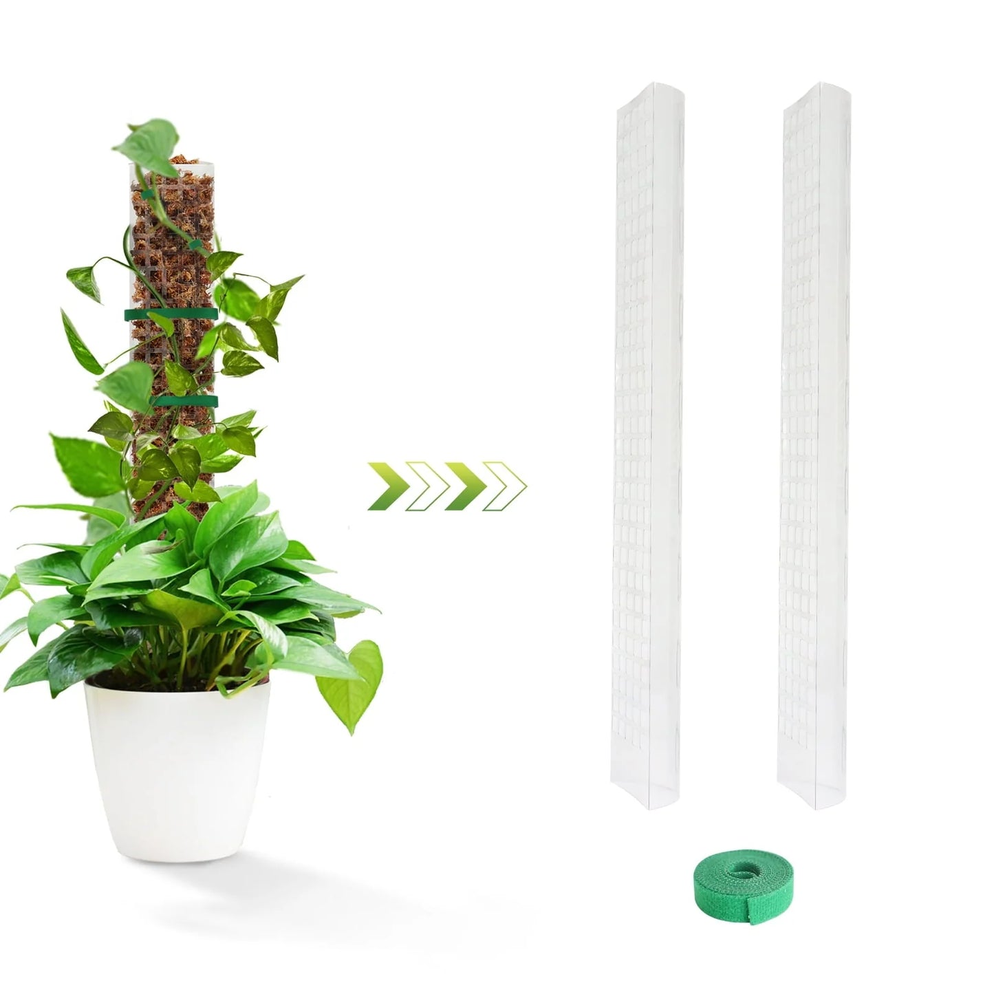 24 Inch Plastic Moss Pole for Plants Monstera, 2 Pcs Plant Poles for Climbing Plants, Plant Support for Indoor Plants Work with Sphagnum Moss