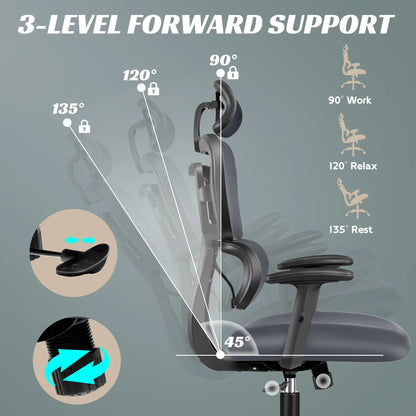 COOLHUT Ergonomic Office Chair Desk Chair High Back Computer Chair with Lumbar Support, High-Sponge Cushion Home Office Chair, 300lbs, Dark Gray
