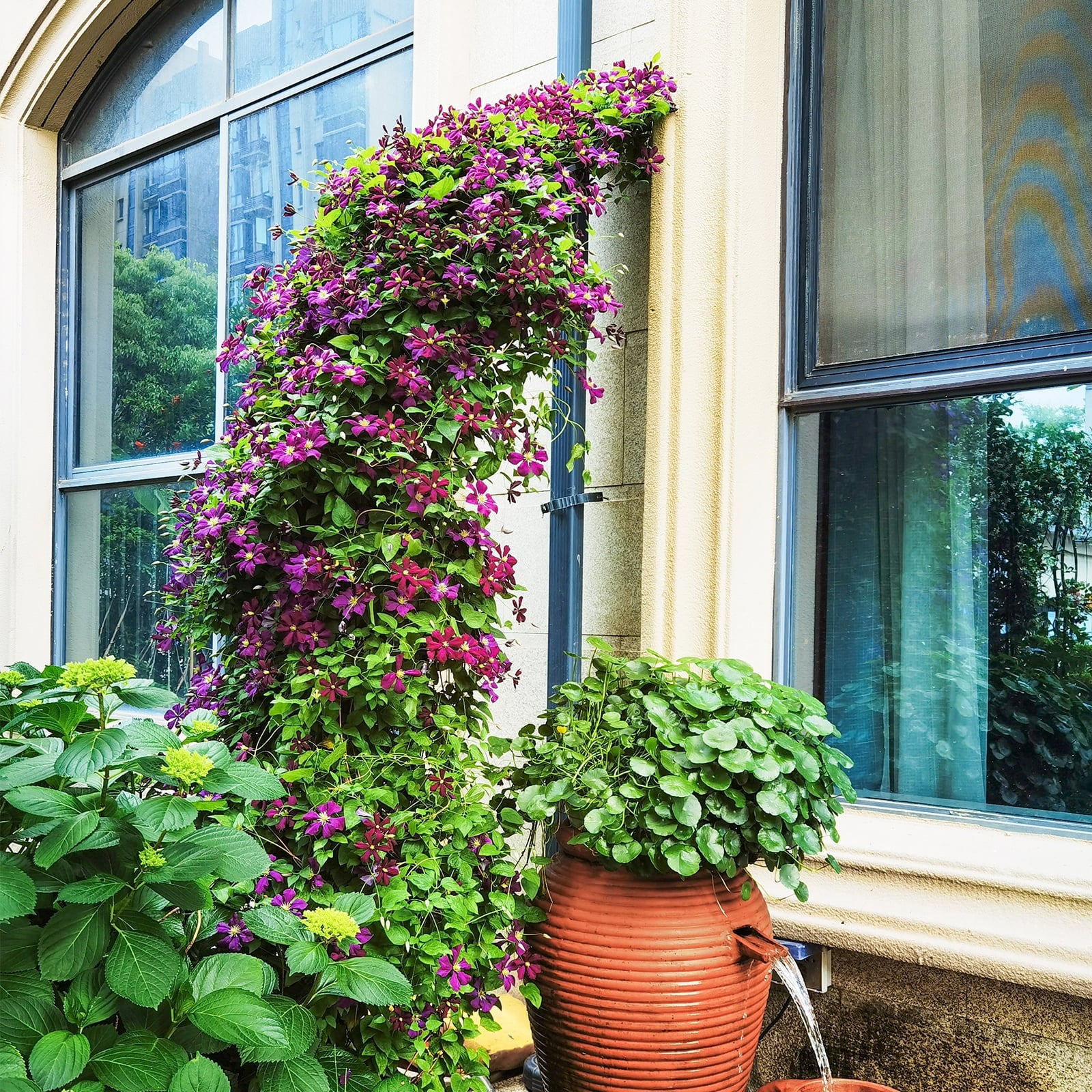 Topbuy Garden Arch Arbor Trellis, 2 Half Arches 99° Tall Metal Arbour Archway for Climbing Plants Roses Vines